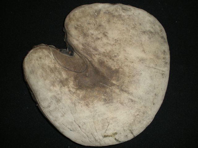 Edward K. Tryon Catchers Mitt 1 Front